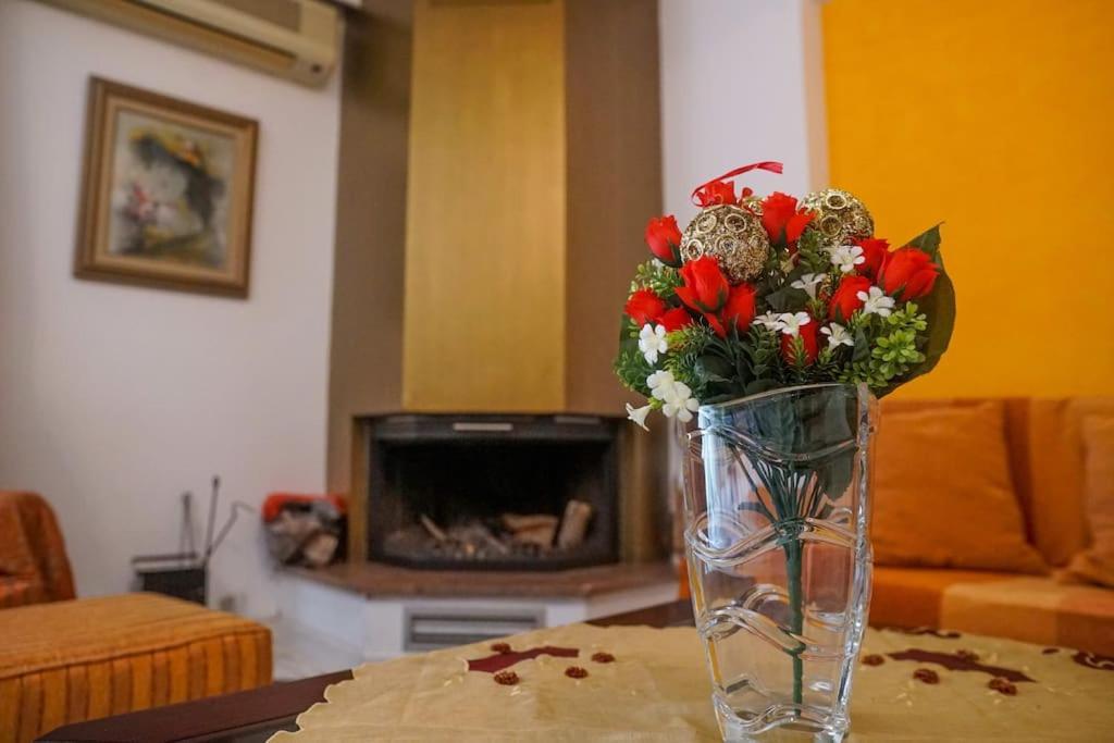 Katerina'S Apartment アテネ エクステリア 写真